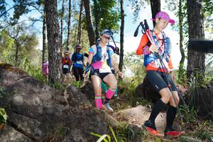 BIB: 
                            <button type="button" onclick="openModal(18916676)" class="btn btn-primary btn-sm float-right btn-popup" data-toggle="modal" data-target=".modal-high-quality">
                        <i class="fas fa-shopping-cart"></i> Add to Cart
                    </button>
                                            <button type="button" onclick="isThisMe(18916676, true)" class="btn btn-success btn-sm float-right btn-popup btn-isme hidden" data-toggle="tooltip" data-placement="bottom" title="นี่คือรูปของคุณใช่ไหม คลิกที่นี่เพื่อเอาเข้าอัลบั้ม">
                        <i class="fas fa-plus"></i> Add to album
                    </button>
                    <button type="button" onclick="isThisMe(18916676, false)" class="btn btn-warning btn-sm float-right btn-popup btn-isnotme hidden">
                        <i class="fas fa-ban"></i> Remove from album
                    </button>